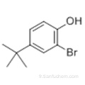 Phénol, 2-bromo-4- (1,1-diméthyléthyl) CAS 2198-66-5